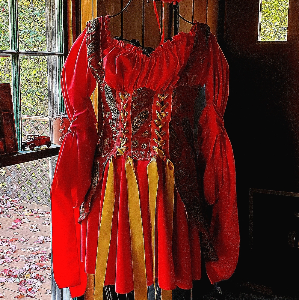 Excellent Quality Sexy Pirate dress/costume